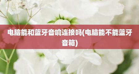 电脑能和蓝牙音响连接吗(电脑能不能蓝牙音箱)