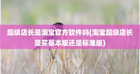 超级店长是淘宝官方软件吗(淘宝超级店长是买基本版还是标准版)