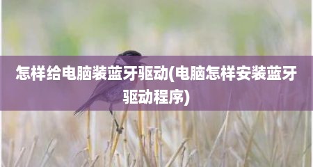 怎样给电脑装蓝牙驱动(电脑怎样安装蓝牙驱动程序)