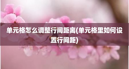 单元格怎么调整行间距离(单元格里如何设置行间距)