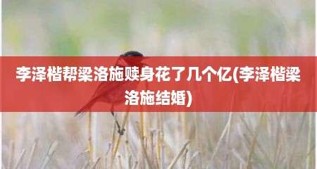 李泽楷帮梁洛施赎身花了几个亿(李泽楷梁洛施结婚)