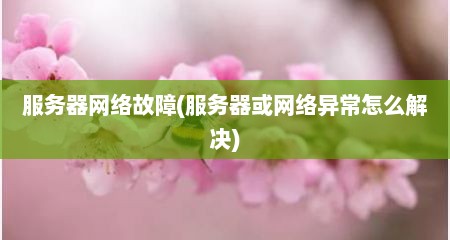 服务器网络故障(服务器或网络异常怎么解决)