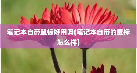 笔记本自带鼠标好用吗(笔记本自带的鼠标怎么样)