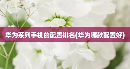 华为系列手机的配置排名(华为哪款配置好)