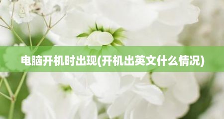 电脑开机时出现(开机出英文什么情况)