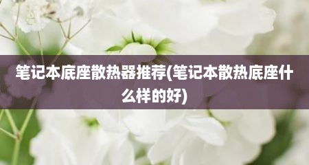 笔记本底座散热器推荐(笔记本散热底座什么样的好)