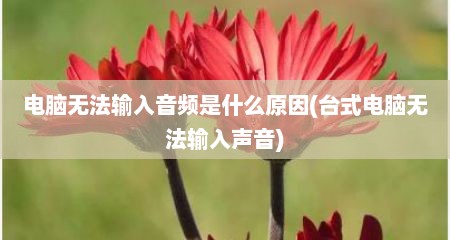 电脑无法输入音频是什么原因(台式电脑无法输入声音)