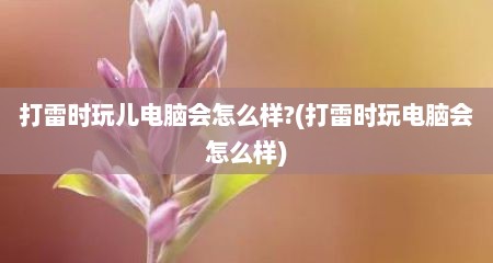 打雷时玩儿电脑会怎么样?(打雷时玩电脑会怎么样)