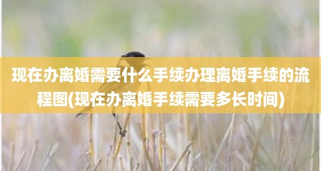 现在办离婚需要什么手续办理离婚手续的流程图(现在办离婚手续需要多长时间)