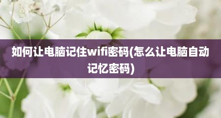 如何让电脑记住wifi密码(怎么让电脑自动记忆密码)