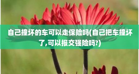 自己撞坏的车可以走保险吗(自己把车撞坏了,可以报交强险吗?)