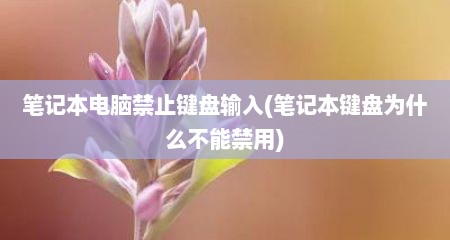 笔记本电脑禁止键盘输入(笔记本键盘为什么不能禁用)