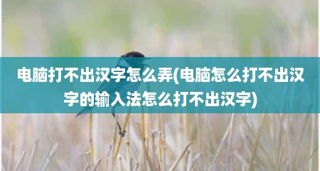 电脑打不出汉字怎么弄(电脑怎么打不出汉字的输入法怎么打不出汉字)