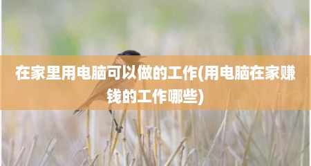 在家里用电脑可以做的工作(用电脑在家赚钱的工作哪些)