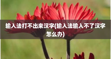 输入法打不出来汉字(输入法输入不了汉字怎么办)