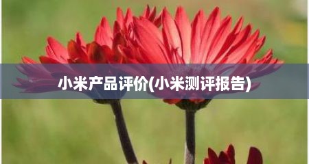 小米产品评价(小米测评报告)