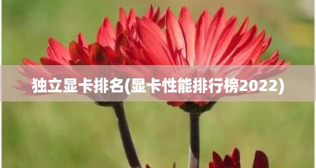 独立显卡排名(显卡性能排行榜2022)