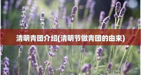 清明青团介绍(清明节做青团的由来)