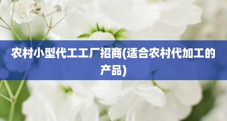 农村小型代工工厂招商(适合农村代加工的产品)