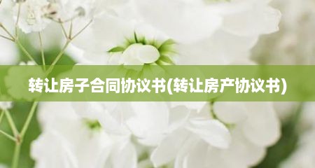 转让房子合同协议书(转让房产协议书)