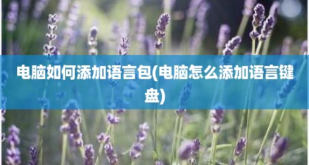 电脑如何添加语言包(电脑怎么添加语言键盘)