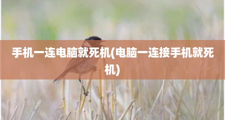 手机一连电脑就死机(电脑一连接手机就死机)