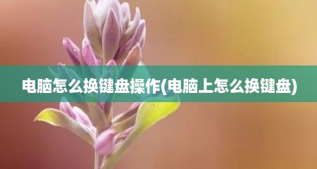 电脑怎么换键盘操作(电脑上怎么换键盘)