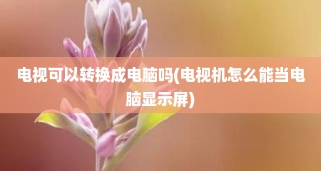 电视可以转换成电脑吗(电视机怎么能当电脑显示屏)