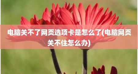 电脑关不了网页选项卡是怎么了(电脑网页关不住怎么办)