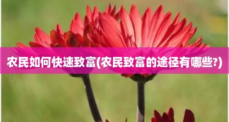 农民如何快速致富(农民致富的途径有哪些?)