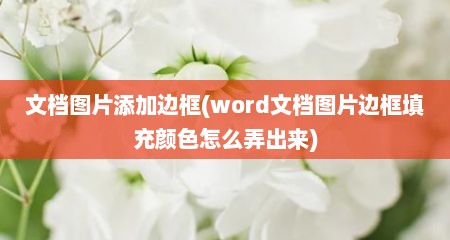 文档图片添加边框(word文档图片边框填充颜色怎么弄出来)