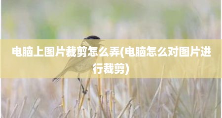 电脑上图片裁剪怎么弄(电脑怎么对图片进行裁剪)