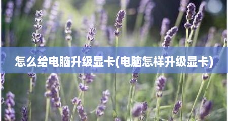 怎么给电脑升级显卡(电脑怎样升级显卡)