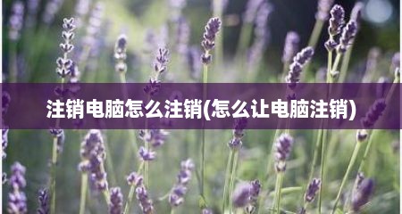 注销电脑怎么注销(怎么让电脑注销)