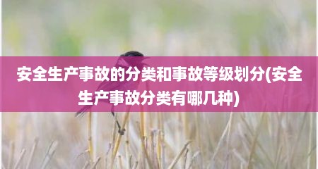 安全生产事故的分类和事故等级划分(安全生产事故分类有哪几种)