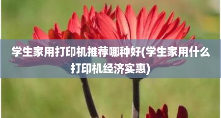 学生家用打印机推荐哪种好(学生家用什么打印机经济实惠)