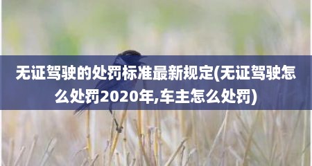 无证驾驶的处罚标准最新规定(无证驾驶怎么处罚2020年,车主怎么处罚)