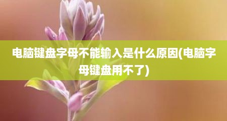 电脑键盘字母不能输入是什么原因(电脑字母键盘用不了)