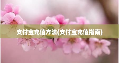 支付宝充值方法(支付宝充值指南)