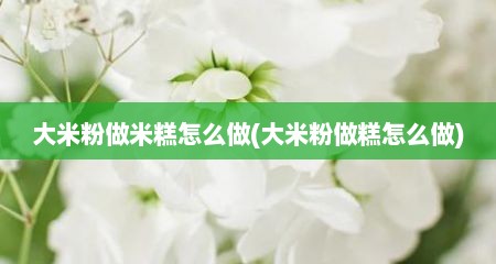 大米粉做米糕怎么做(大米粉做糕怎么做)