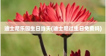 迪士尼乐园生日当天(迪士尼过生日免费吗)