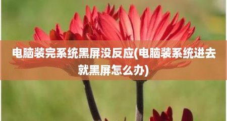 电脑装完系统黑屏没反应(电脑装系统进去就黑屏怎么办)