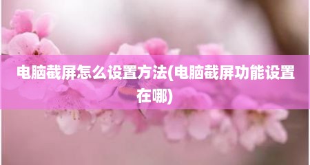 电脑截屏怎么设置方法(电脑截屏功能设置在哪)