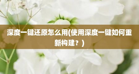 深度一键还原怎么用(使用深度一键如何重新构建？)