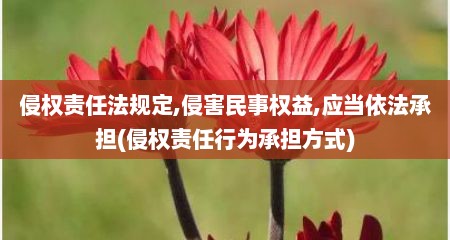 侵权责任法规定,侵害民事权益,应当依法承担(侵权责任行为承担方式)