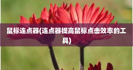 鼠标连点器(连点器提高鼠标点击效率的工具)