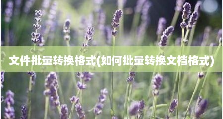 文件批量转换格式(如何批量转换文档格式)