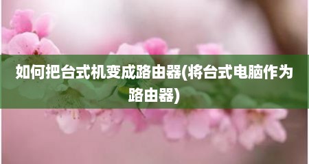 如何把台式机变成路由器(将台式电脑作为路由器)