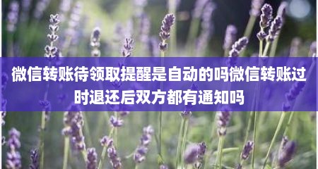 微信转账待领取提醒是自动的吗微信转账过时退还后双方都有通知吗