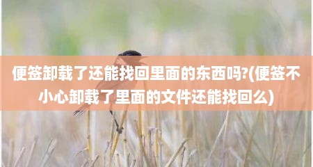 便签卸载了还能找回里面的东西吗?(便签不小心卸载了里面的文件还能找回么)